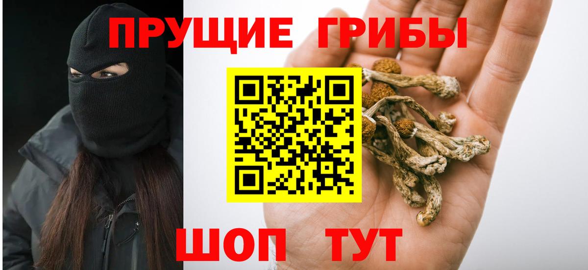 Галлюциногенные грибы ЛСД  Вход с VPN  Сибай 